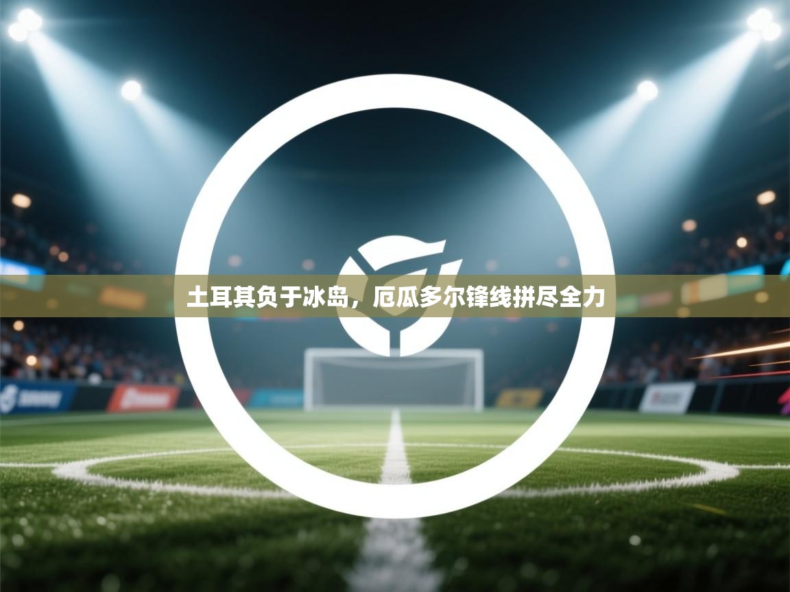 土耳其负于冰岛，厄瓜多尔锋线拼尽全力